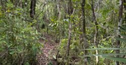 Vende-se Lote 3.000m2 – Alto Paraíso de Goiás