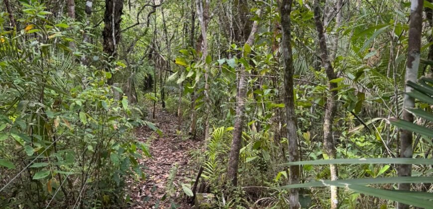 Vende-se Lote 3.000m2 – Alto Paraíso de Goiás