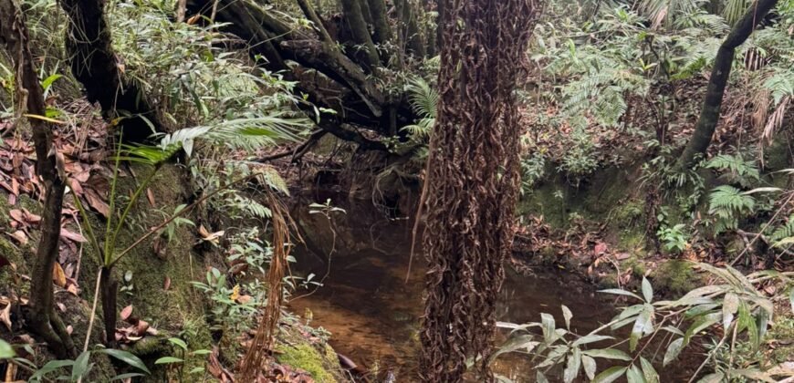 Vende-se Lote 3.000m2 – Alto Paraíso de Goiás