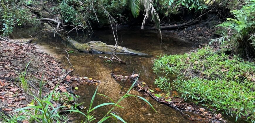 Vende-se Lote 3.000m2 – Alto Paraíso de Goiás