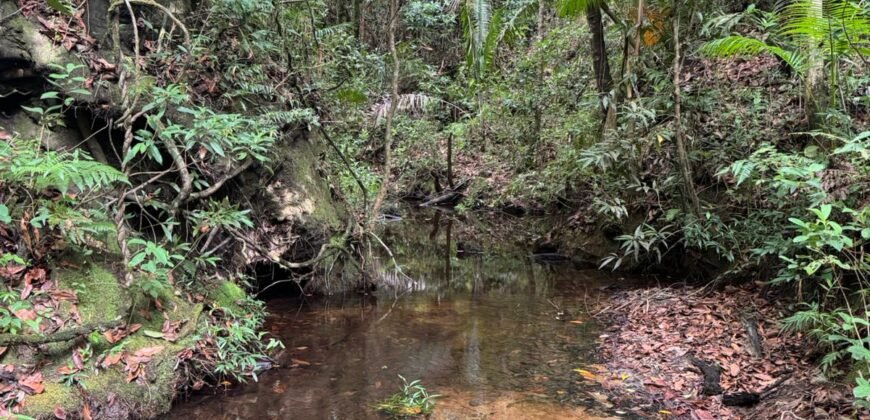 Casa – Km 12 – Entre Alto Paraíso e São Jorge