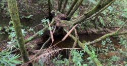 Vende-se Lote 3.000m2 – Alto Paraíso de Goiás