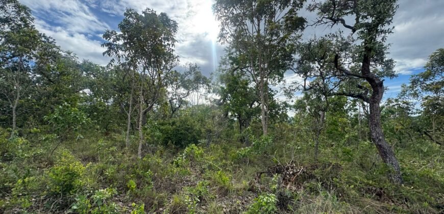 Vende-se Lote 3.000m2 – Alto Paraíso de Goiás