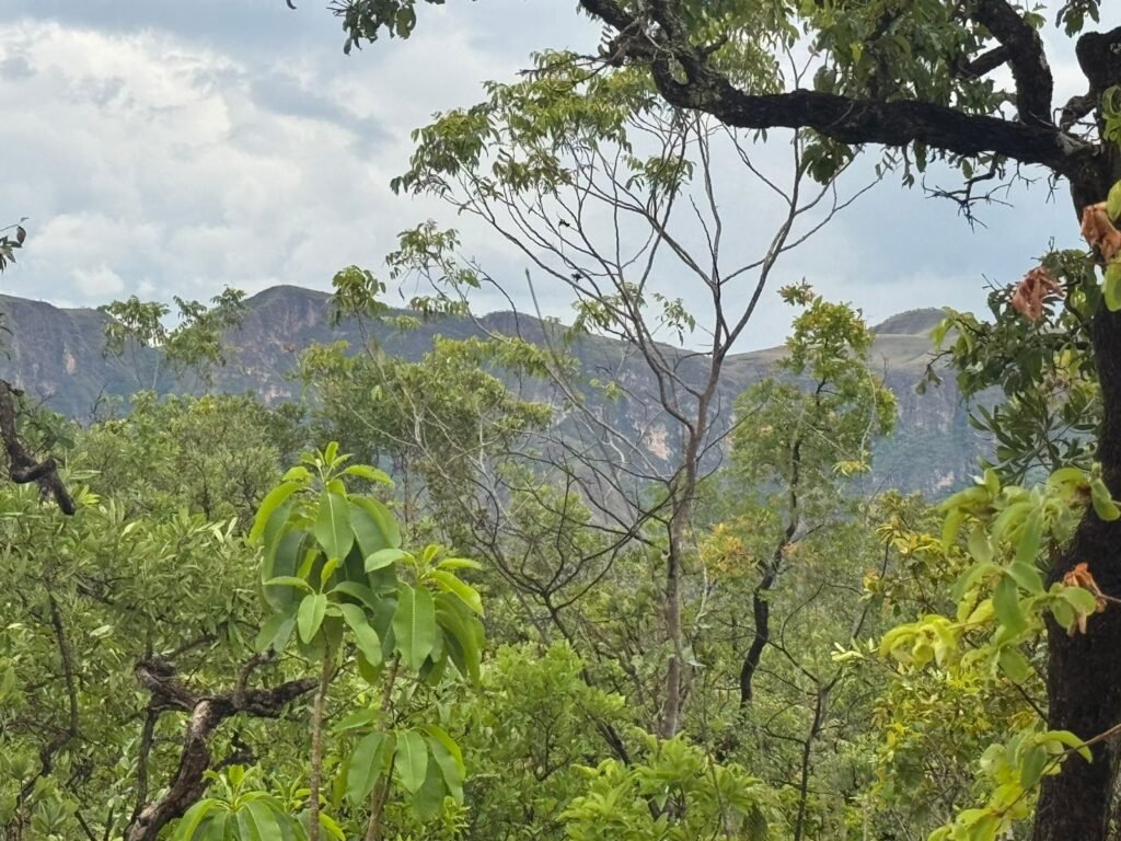 Chacara 4ha – Linda Vista – 8km de São Jorge sentido Cachoeira do Segredo, 1,5km da GO-239