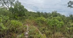 Chacara 4ha – Linda Vista – 8km de São Jorge sentido Cachoeira do Segredo, 1,5km da GO-239 Chacara 4ha – Linda Vista – 8km de São Jorge sentido Cachoeira do Segredo, 1,5km da GO-239