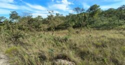 Chacara 4ha – Linda Vista – 8km de São Jorge sentido Cachoeira do Segredo, 1,5km da GO-239 Chacara 4ha – Linda Vista – 8km de São Jorge sentido Cachoeira do Segredo, 1,5km da GO-239