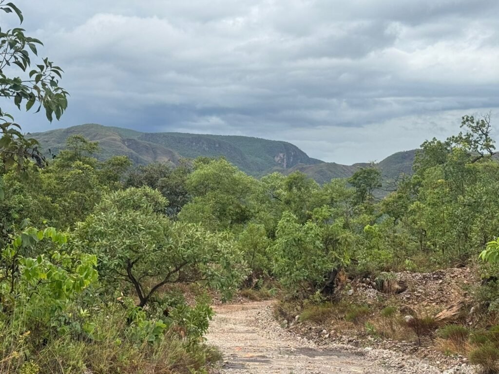 Chacara 4ha – Linda Vista – 8km de São Jorge sentido Cachoeira do Segredo, 1,5km da GO-239