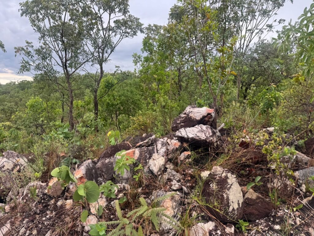 Chacara 4ha – Linda Vista – 8km de São Jorge sentido Cachoeira do Segredo, 1,5km da GO-239
