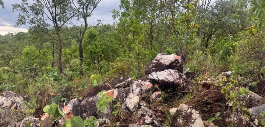 Chacara 4ha – Linda Vista – 8km de São Jorge sentido Cachoeira do Segredo, 1,5km da GO-239