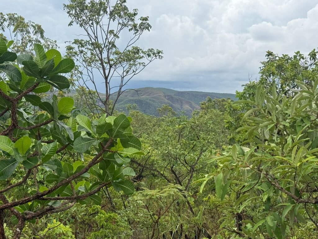 Chacara 4ha – Linda Vista – 8km de São Jorge sentido Cachoeira do Segredo, 1,5km da GO-239