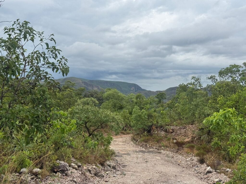 Chacara 4ha – Linda Vista – 8km de São Jorge sentido Cachoeira do Segredo, 1,5km da GO-239