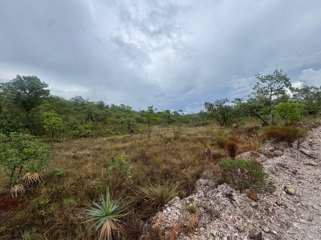 Chacara 4ha – Linda Vista – 8km de São Jorge sentido Cachoeira do Segredo, 1,5km da GO-239