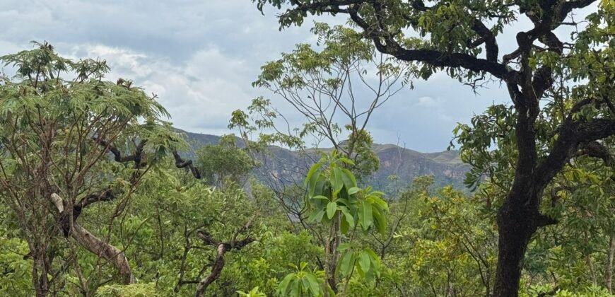 Chacara 4ha – Linda Vista – 8km de São Jorge sentido Cachoeira do Segredo, 1,5km da GO-239