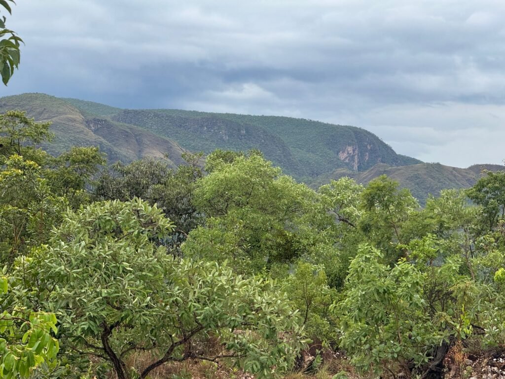 Chacara 4ha – Linda Vista – 8km de São Jorge sentido Cachoeira do Segredo, 1,5km da GO-239