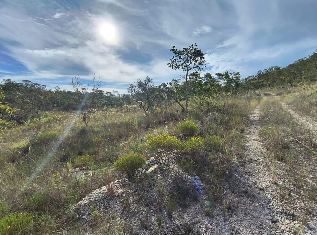 Chacara 4ha – Linda Vista – 8km de São Jorge sentido Cachoeira do Segredo, 1,5km da GO-239
