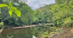 Chalé 2 km de Colinas do Sul sentido São Jorge Chalé 2 km de Colinas do Sul sentido São Jorge