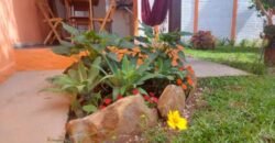 Oportunidade na Chapada – Investimento Com Retorno Imediato!