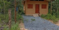 Chalé 2 km de Colinas do Sul sentido São Jorge Chalé 2 km de Colinas do Sul sentido São Jorge