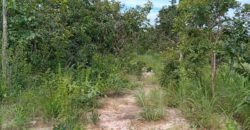 Chalé 2 km de Colinas do Sul sentido São Jorge Chalé 2 km de Colinas do Sul sentido São Jorge