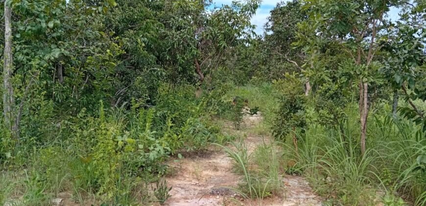 Chalé 2 km de Colinas do Sul sentido São Jorge