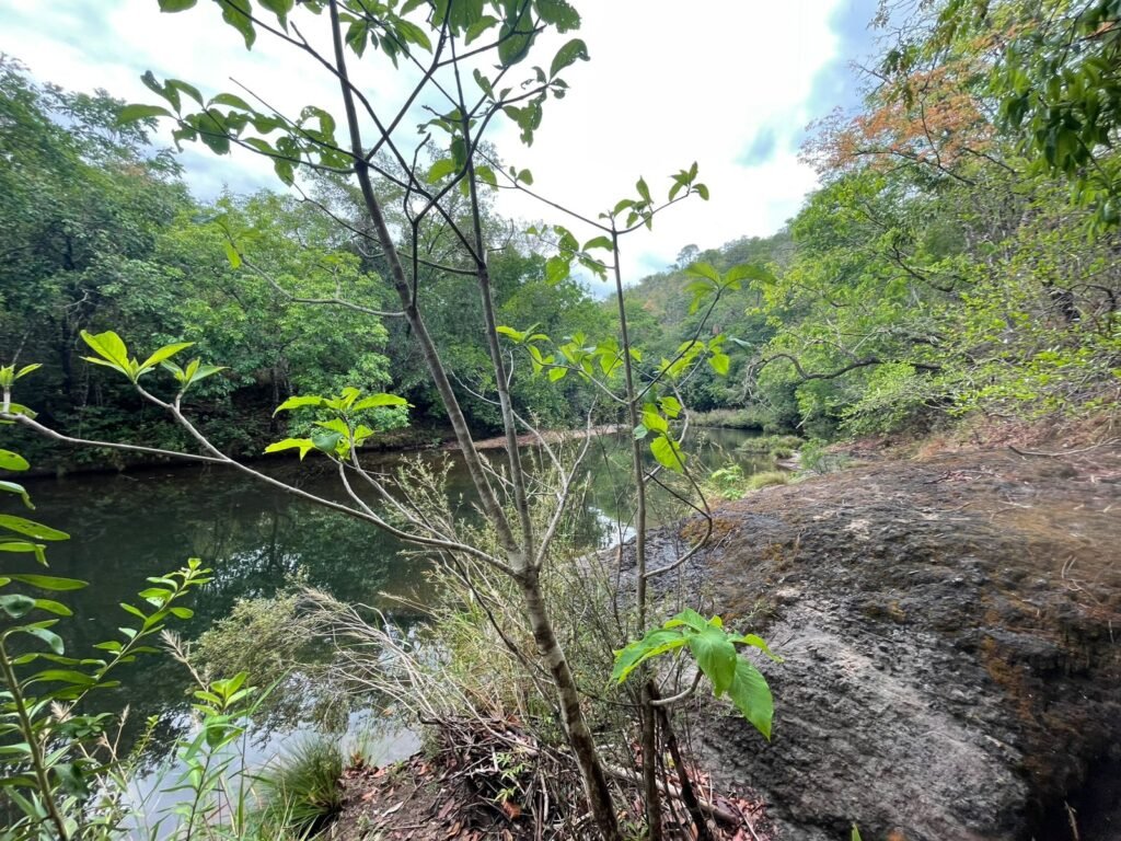 Chalé 2 km de Colinas do Sul sentido São Jorge