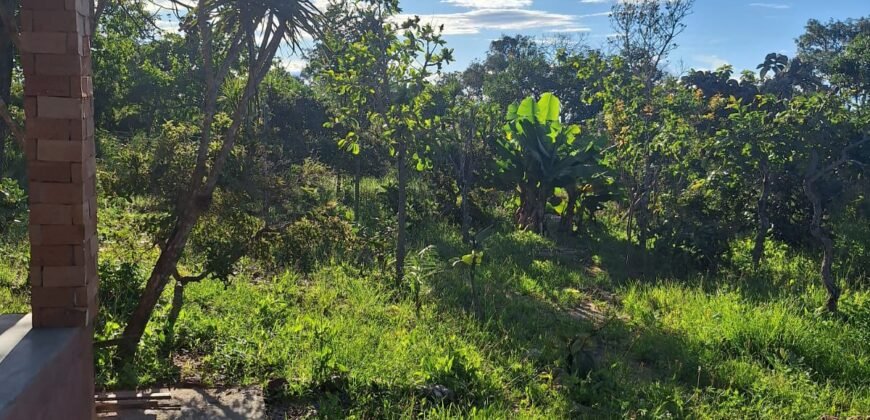 Casa – Km 12 – Entre Alto Paraíso e São Jorge