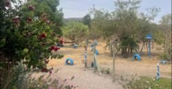 Casa + Chále – 12 km de Alto Paraíso de Goias sentido São Jorge