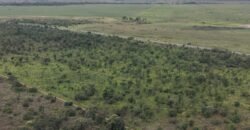 Chácara 4ha – Fazenda São Bento – 7km de Alto Paraíso