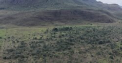 Chácara 4ha – Fazenda São Bento – 7km de Alto Paraíso