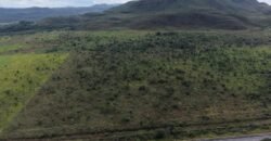 Chácara 4ha – Fazenda São Bento – 7km de Alto Paraíso