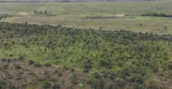 Chácara 4ha – Fazenda São Bento – 7km de Alto Paraíso