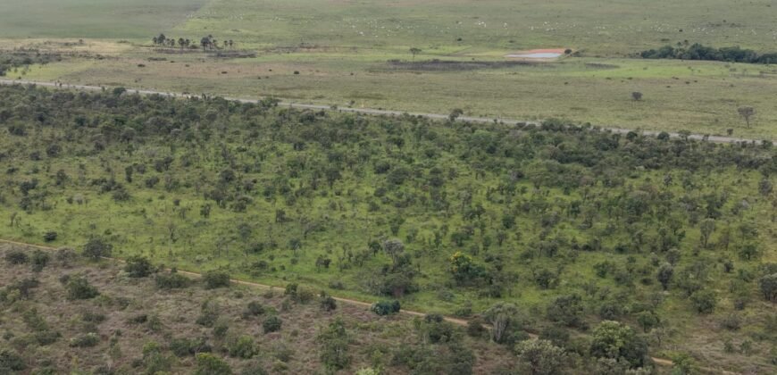 Chácara 4ha – Fazenda São Bento – 7km de Alto Paraíso