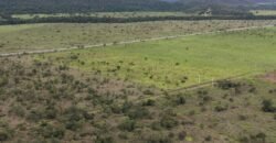 Chácara 4ha – Fazenda São Bento – 7km de Alto Paraíso