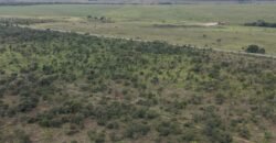 Chácara 4ha – Fazenda São Bento – 7km de Alto Paraíso