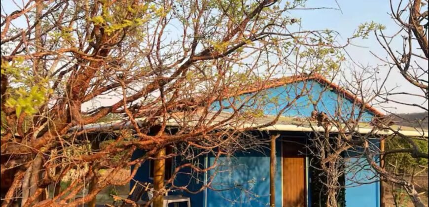 Casa + Chále – 12 km de Alto Paraíso de Goias sentido São Jorge