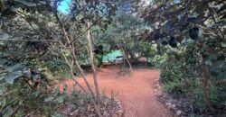 Vende-se Linda Casa – Bairro Eldorado – Alto Paraíso de Goiás