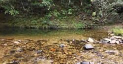 Chácara 8ha – Rio do Segredo – 12 km de São Jorge – Chapada dos Veadeiros Chácara 8ha – Rio do Segredo – 12 km de São Jorge – Chapada dos Veadeiros
