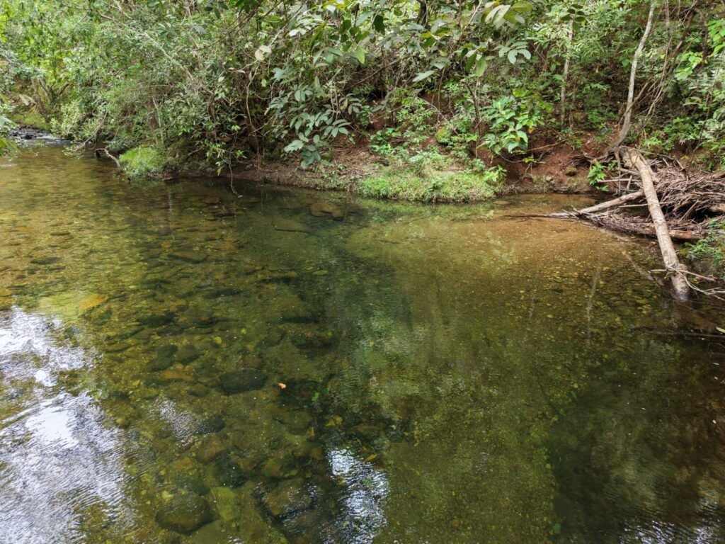 Chácara 8ha – Rio do Segredo – 12 km de São Jorge – Chapada dos Veadeiros