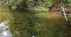 Chácara 8ha – Rio do Segredo – 12 km de São Jorge – Chapada dos Veadeiros Chácara 8ha – Rio do Segredo – 12 km de São Jorge – Chapada dos Veadeiros