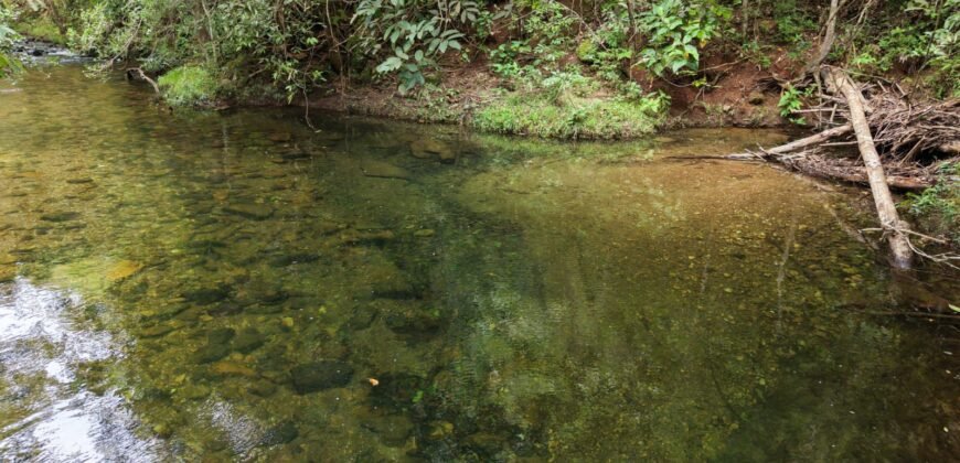 Chácara 8ha – Rio do Segredo – 12 km de São Jorge – Chapada dos Veadeiros