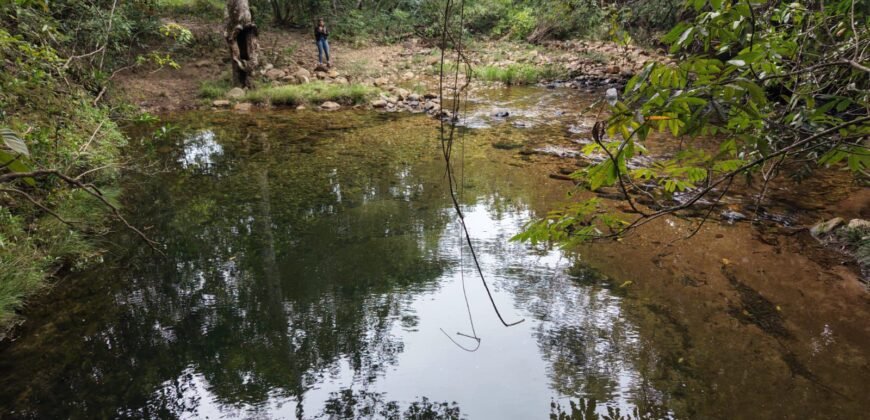 Chácara 8ha – Rio do Segredo – 12 km de São Jorge – Chapada dos Veadeiros
