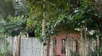 Vende Casa – Bem Localizada – Monte Sinai – Alto Paraíso de Goiás