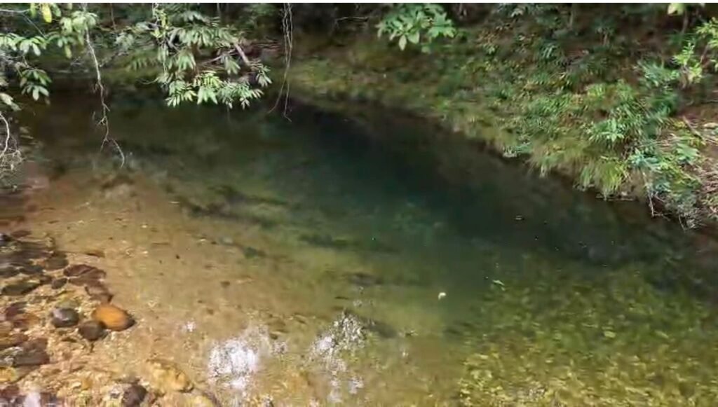 Chácara 8ha – Rio do Segredo – 12 km de São Jorge – Chapada dos Veadeiros