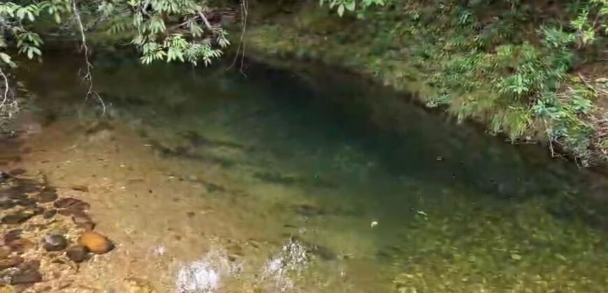 Chácara 8ha – Rio do Segredo – 12 km de São Jorge – Chapada dos Veadeiros