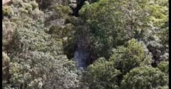 Gleba de 12ha, 3 km de Alto Paraíso sentido Moinho