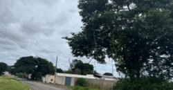 Lote 539,25m – Novo Horizonte – Alto Paraíso de Goiás Lote 539,25m – Novo Horizonte – Alto Paraíso de Goiás