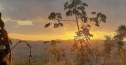 🏡 ALUGA-SE CASA COM VISTA – BAIRRO ELDORADO | ALTO PARAÍSO DE GOIÁS