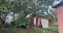 Vende Casa – Bem Localizada – Monte Sinai – Alto Paraíso de Goiás