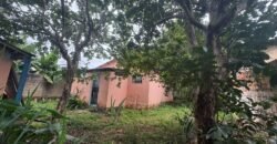 Vende Casa – Bem Localizada – Monte Sinai – Alto Paraíso de Goiás