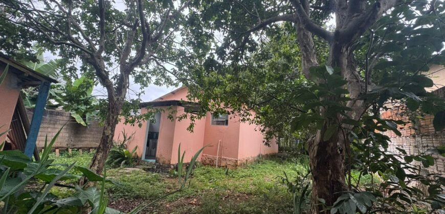 Vende Casa – Bem Localizada – Monte Sinai – Alto Paraíso de Goiás